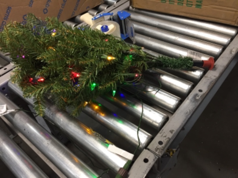 Photo 1 of 9ft National Tree Company Pre-Lit Dunhill Fir Hinged Full LED Artificial Tree with 900 Low Voltage Dual Led Lights