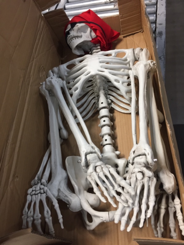 Photo 2 of 5 ft Pose-N-Stay Life Size Skeleton Full Body Realistic Human Bones with Posable Joints for Halloween Pose Skeleton Prop Decoration
