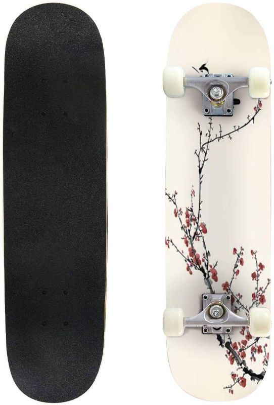 Photo 1 of floral background with tropical flowers, leaves and toucans vector Skateboard Complete Longboard 8 Layers Maple Decks Double Kick Concave Skate Board, Standard Tricks Skateboards Outdoors, 31"x8"
