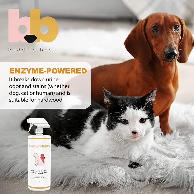 Photo 1 of 
Buddy's Best, Pet Urine Odor Eliminator, Deodorizer, and Stain Remover - Enzymatic Cleaner for Dog Urine - Effective Enzyme Based Dog Pee Spray Cleaner...
Size:Pack of 1