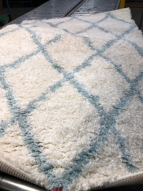 Photo 2 of 
nuLOOM Trellis Cozy Soft & Plush Shag Area Rug, 4' x 6', Blue
Size:4 ft x 6 ft
Color:Blue