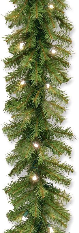 Photo 1 of 
National Tree Company Pre-Lit Artificial Christmas Garland, Green, Norwood Fir, White Lights, Battery Operated, Christmas Collection, 9 Feet
Style Name:Battery Operated