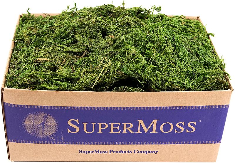 Photo 1 of 
SuperMoss (25325) Forest Moss Preserved, Fresh Green, 3lbs