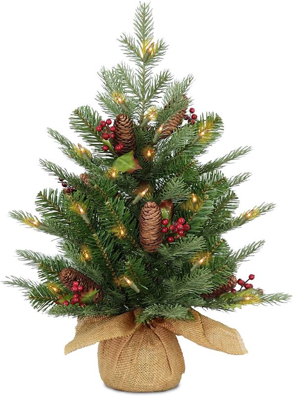 Photo 1 of National Tree Company Pre-Lit 'Feel Real' Artificial Mini Christmas Tree, Green, Nordic Spruce, White Lights, Flocked with Pine Cones, Red Berries, Includes Burlap Bag Base, 3 Feet, Battery required/NOT INCLUDED BATTERY
