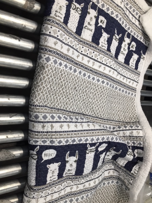 Photo 1 of 58 In Llama Fury Blanket 