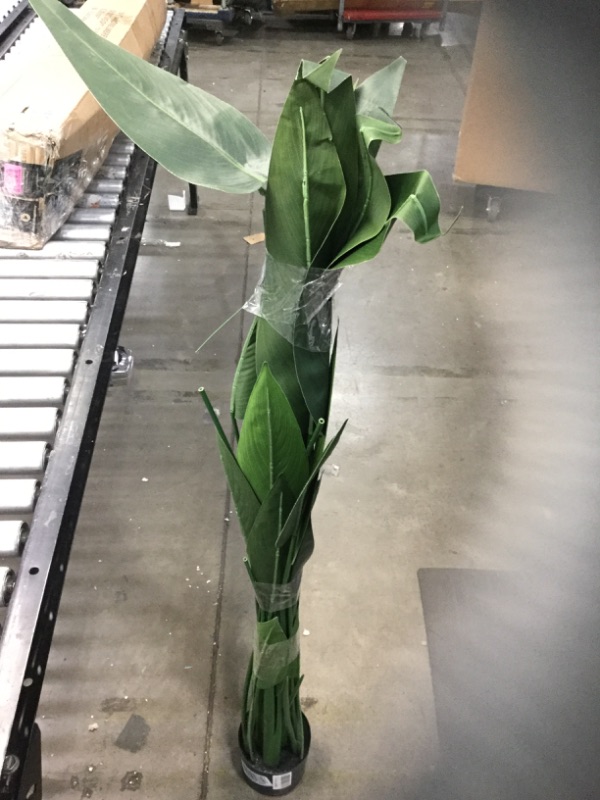 Photo 1 of 5FT ARTIFICAL GREEN PLANT
*** MISSING SOME LEAVES***