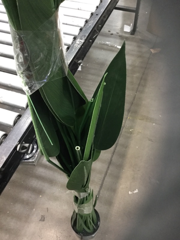 Photo 1 of 5FT ARTIFICAL GREEN PLANT
*** MISSING SOME LEAVES***