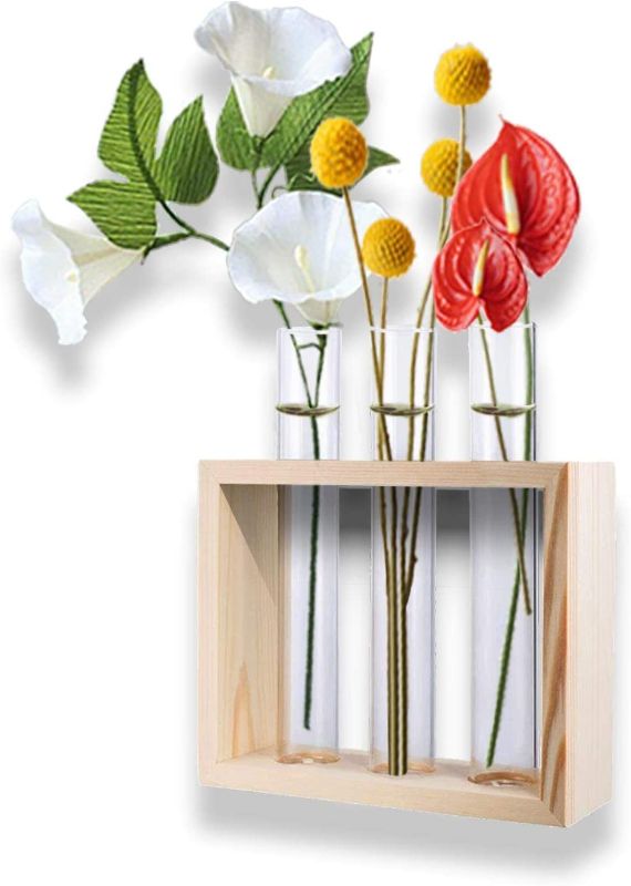 Photo 1 of 2 PACKS OF-Banord Desktop Glass Terrarium, Wall Hanging Glass Planter with 3 Modern Test Tubes in Wood Stand, Tabletop Tube Container for Home Office Decoration, Natural
