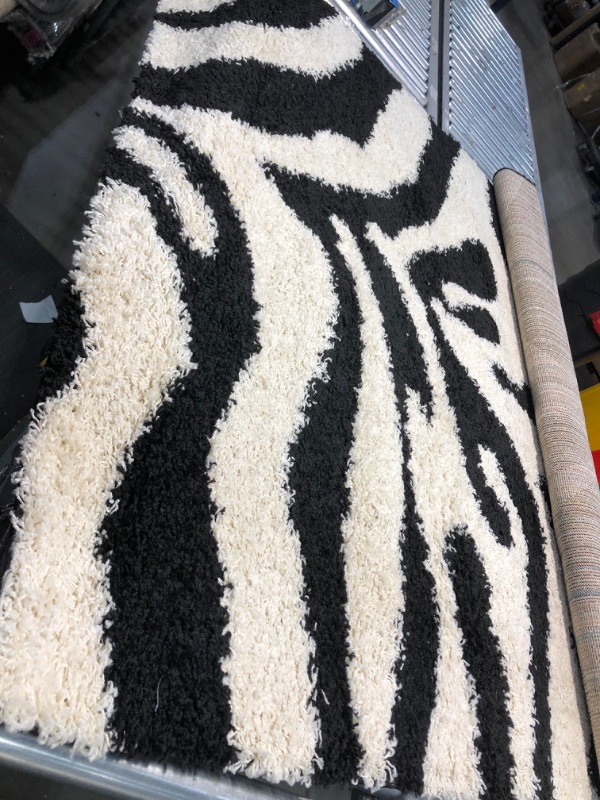 Photo 2 of  Zebra Shag Area Rug, 5'3X7'
