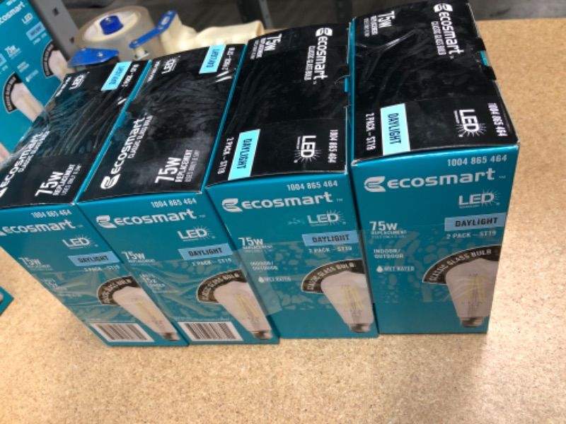 Photo 1 of 4 PACK EcoSmart
75-Watt Equivalent ST19 Antique Edison Dimmable CEC Clear Glass Filament Vintage Style LED Light Bulb Daylight (2-Pack)