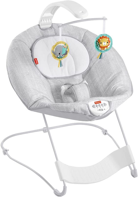 Photo 1 of Fisher-Price See and Soothe Deluxe Bouncer Hearthstone, Soothing Baby Seat for Infants and Newborns [Amazon Exclusive]
