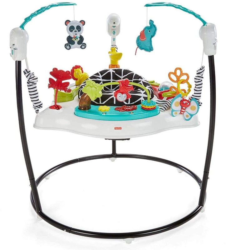 Photo 1 of Fisher-Price Animal Wonders Jumperoo Rotating Seat with Toys (FWY41)
