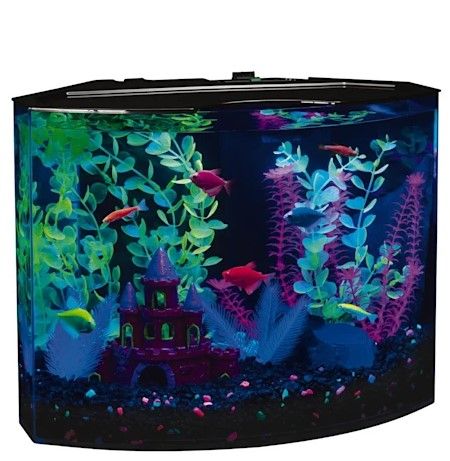 Photo 1 of  GloFish Crescent Hidden Blue LED Light & Internal Filter Aquarium Kit 5 Gallons, 16.5" L x 11.25" W x 13.2" H

