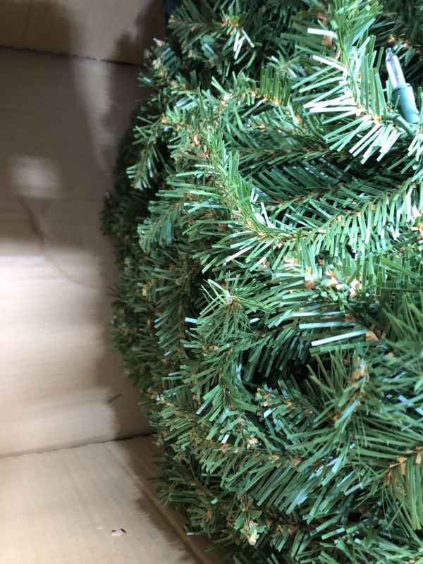 Photo 1 of National Tree Co. 9 Foot Dunhill Fir Hinged Fir Pre-Lit Christmas Tree