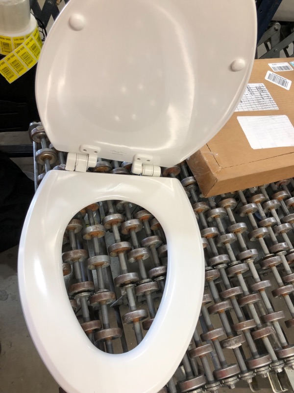 Photo 4 of 14' X 17/5 " TOILET SEAT 