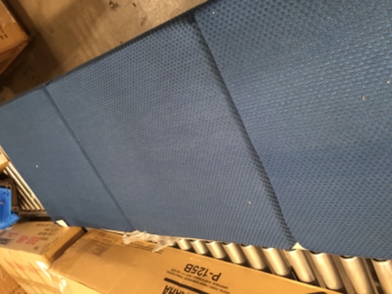 Photo 2 of 24 x 75 futon mattress BLUE