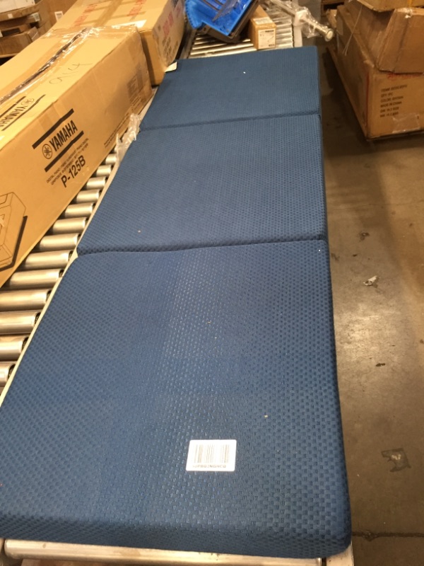 Photo 3 of 24 x 75 futon mattress BLUE