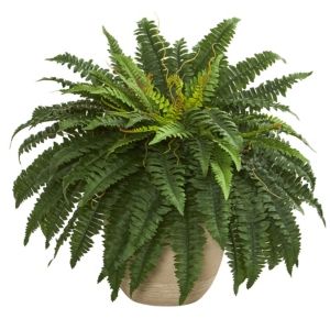 Photo 1 of 22" Boston Fern Artificial Plant in Sandstone Planter
