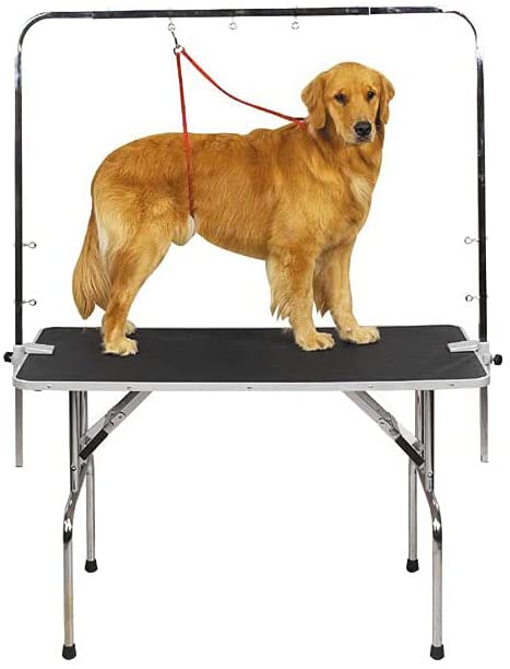 Photo 1 of *arm ONLY*
Master Equipment Zinc-Plated Steel Overhead Pet Grooming Arm (Designed to fit tables 36" to 48" in length)
