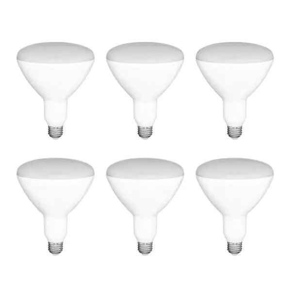 Photo 1 of 65-Watt Equivalent BR30 Dimmable LED Light Bulb Soft White (6-Pack