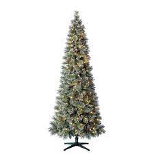 Photo 1 of 12 ft Sparkling Amelia Pine Slim LED Pre-Lit Artificial Christmas Tree 
