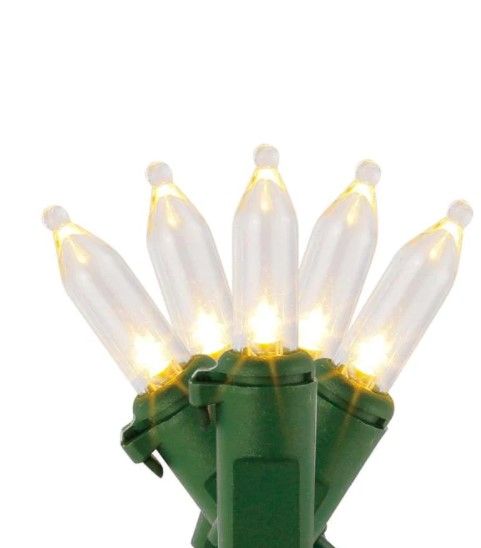 Photo 1 of 12PCK-Home Accents Holiday 29.5 ft. 100-Light Warm White Mini LED Lights on Green Wire