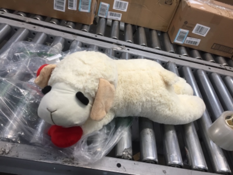 Photo 1 of Baby Goat Stuffed animal - Unknown Brand 
- Ear ripped off (See Photos) 