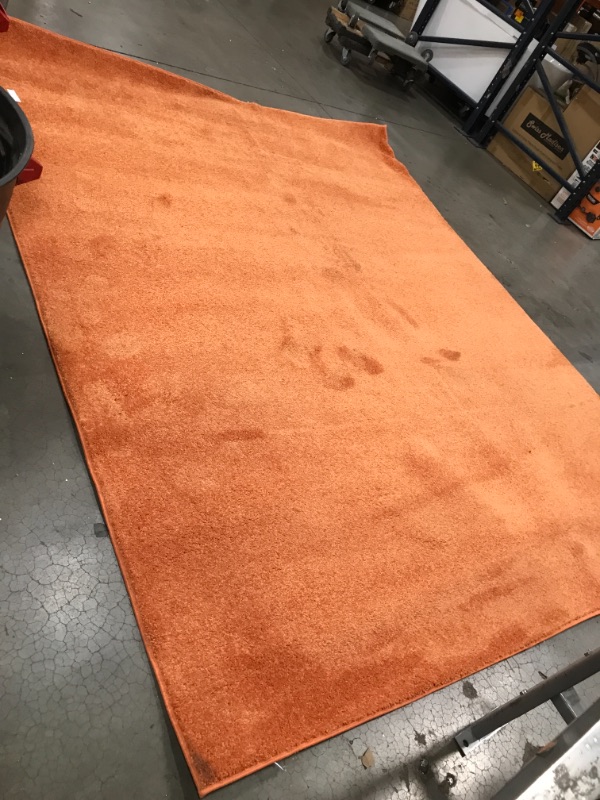 Photo 1 of 8' x 10' Solid Shag Rug, Orange
