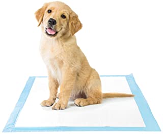 Photo 1 of Amazon Brand - Solimo Super Absorbent Puppy Pads,