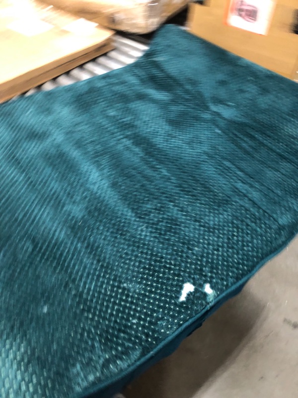 Photo 5 of 31' X 41" TEAL DOG BED