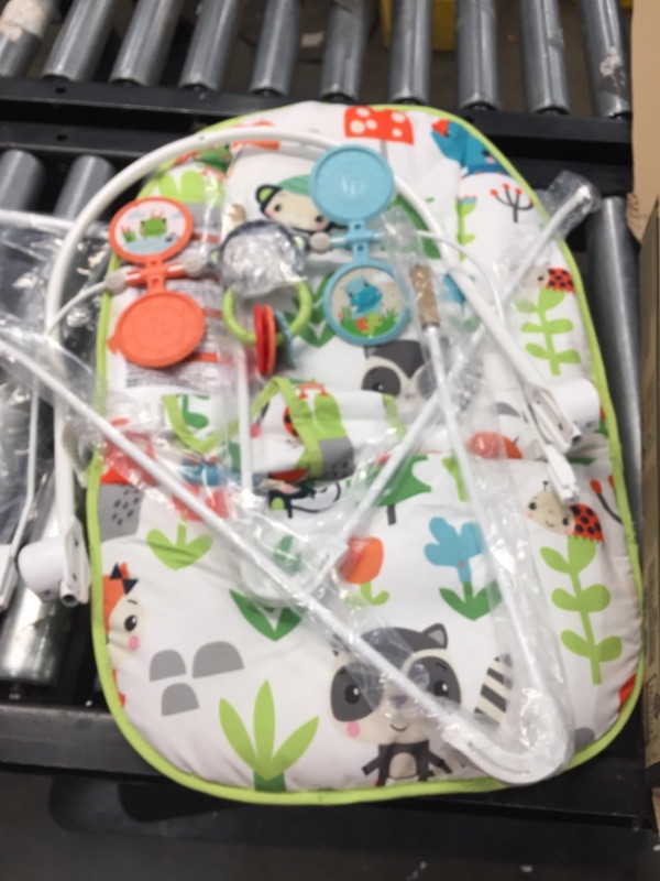 Photo 2 of Fisher-Price Baby's Bouncer – Forest Explorers, Baby Bouncing Chair for Soothing and Play for Newborns and Infants
