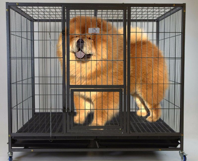 Photo 1 of  Homey Pet-49" Extra Large Heavy Duty Metal Dog Cage Kennel w/ Plastic Floor Grid
