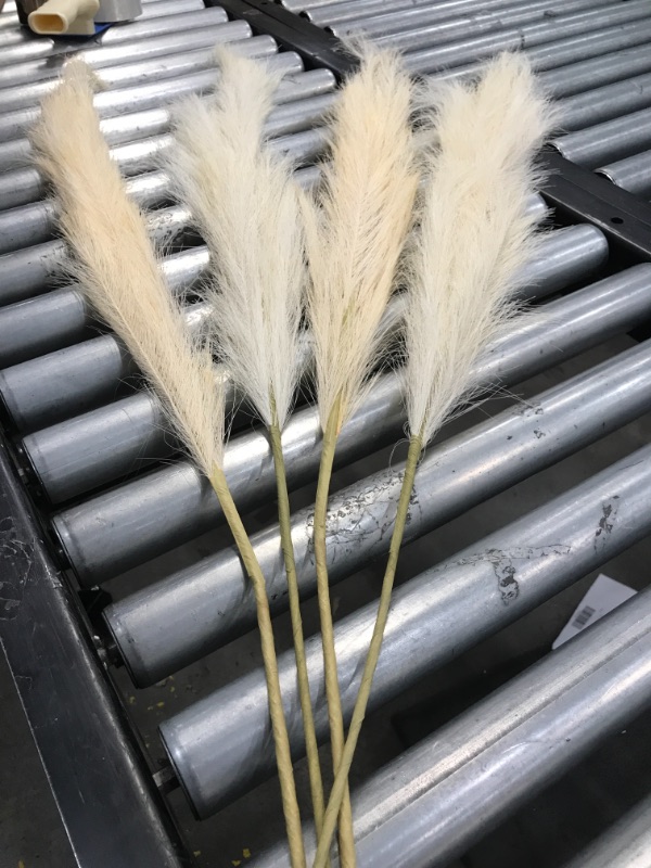 Photo 2 of 4 pcs - small pampas grass decor - boho room décor, wedding, home office, living room decor and more - white pampas grass decor - fluffy pampas grass -...
