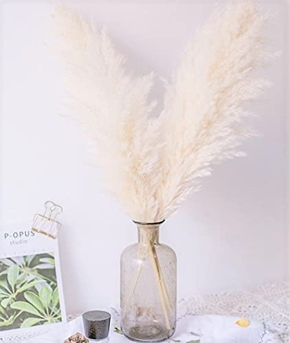 Photo 1 of 4 pcs - small pampas grass decor - boho room décor, wedding, home office, living room decor and more - white pampas grass decor - fluffy pampas grass -...
