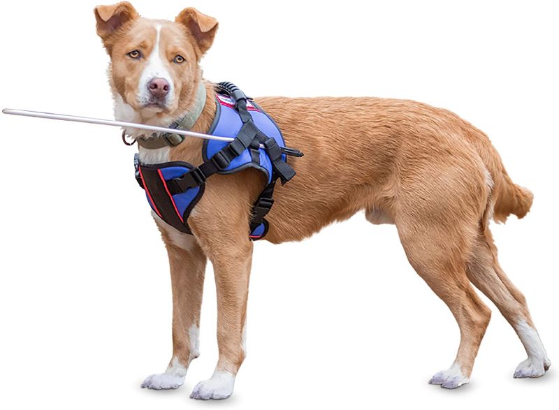 Photo 1 of **SIZE LARGE**
Walkin' Halo Harness | Harness for Blind Dogs | Adjustable for a Custom Fit | for Pets | Lightweight and Flexible
