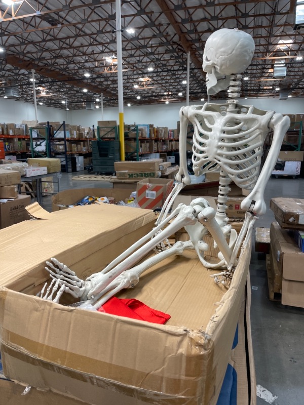 Photo 2 of 5 ft Pose-N-Stay Life Size Skeleton Full Body Realistic Human Bones with Posable Joints for Halloween Pose Skeleton Prop Decoration
