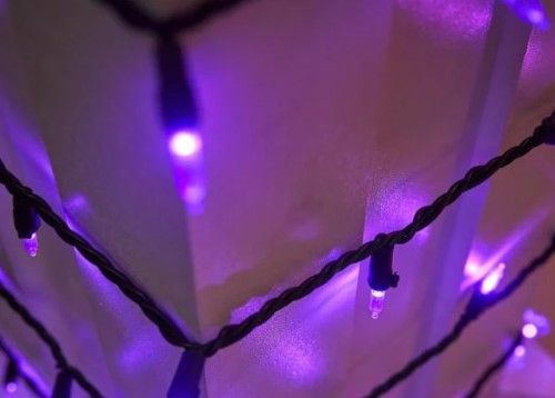 Photo 2 of 29 ft. 6 in. 100-Count Smooth LED Mini Orange Halloween String-Lights and 29 ft. 6 in. 100-Count Smooth LED Mini Purple Halloween String Lights