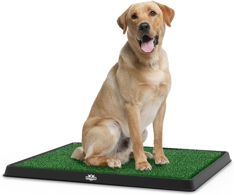 Photo 1 of 
PETMAKER Artificial Grass Puppy Pad Collection - for Dogs and Small Pets – Portable Training Pad with Tray – Dog Housebreaking Supplies
Size:Medium
Style:Potty Tray