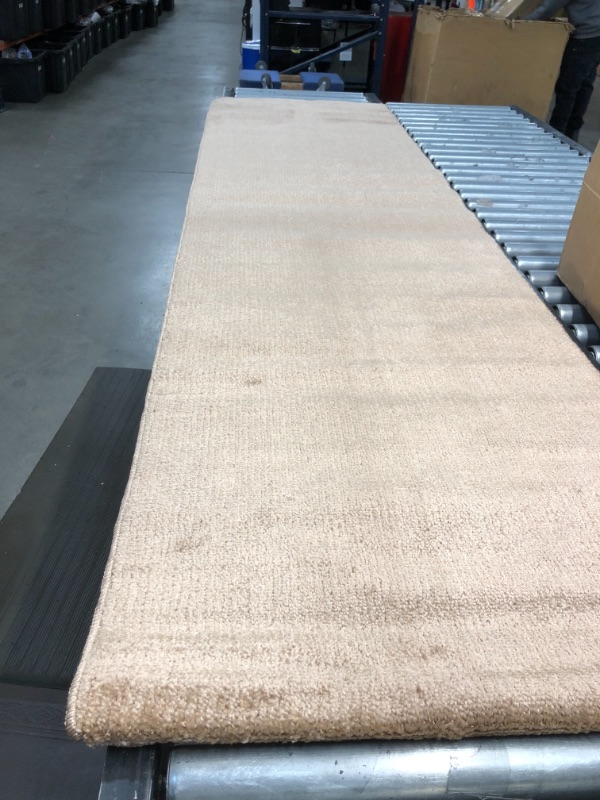 Photo 1 of 26" X 8' RUNNER RUG TAN