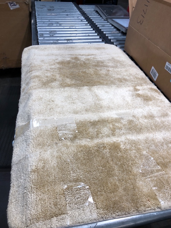 Photo 1 of 2'6" X 4' BATHROOM RUG TAN