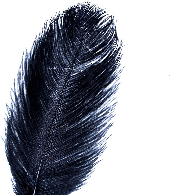 Photo 1 of 20-22 inch (50-55cm) Ostrich Feathers Plume for Centerpieces Home Decoration (20pcs, Black)