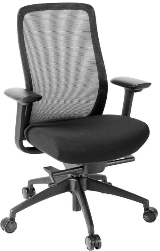 Photo 1 of Eurotech VERABLK Vera Mesh Back Executive Chair
