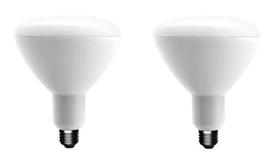 Photo 1 of 75-Watt Equivalent BR40 Dimmable Energy Star LED Light Bulb Daylight (2-Pack)
