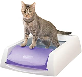 Photo 1 of **incomplete* ScoopFree Original Automatic Self-Cleaning Cat Litter Box, Purple