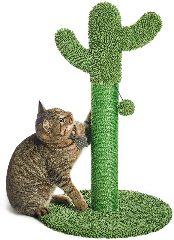 Photo 1 of Catinsider Cactus Cat Scratching Post with Dangling Ball for All Cats
