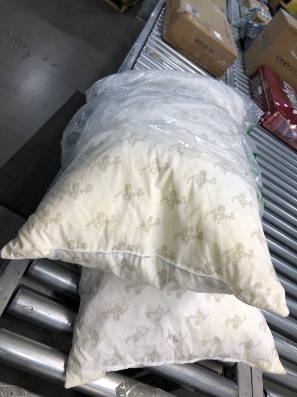 Photo 1 of MyPillow Classic Bed Pillow 2 Pack [Standard/Queen, Medium]
DIRTY NEEDS WASH.