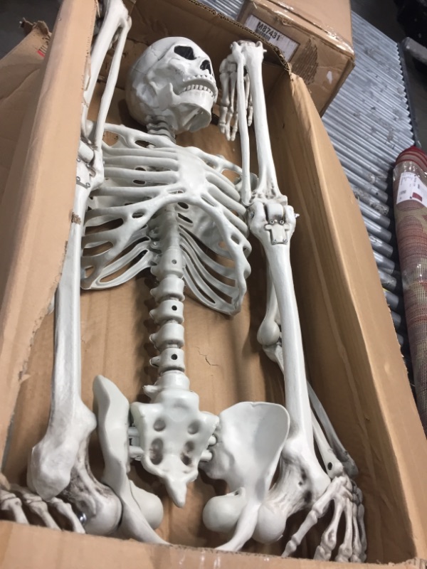 Photo 1 of 5 Ft Pose-N-Stay Life Size Skeleton Realistic Bones Posable Skeleton Prop
