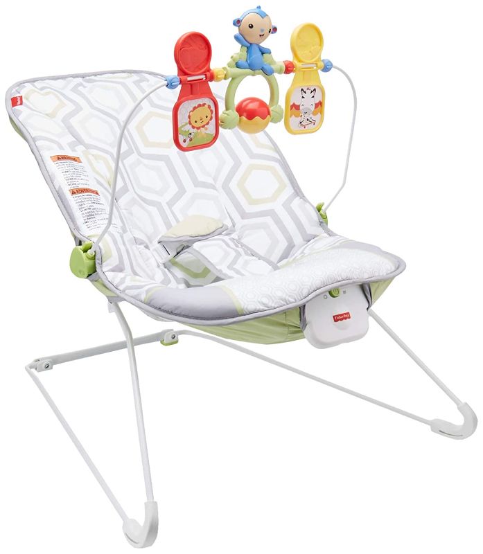 Photo 1 of Fisher-Price Toys Geo Meadow Bouncer