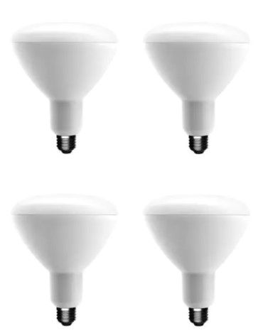 Photo 1 of 75-Watt Equivalent BR40 Dimmable ENERGY STAR LED Light Bulb Bright White (4-Pack)