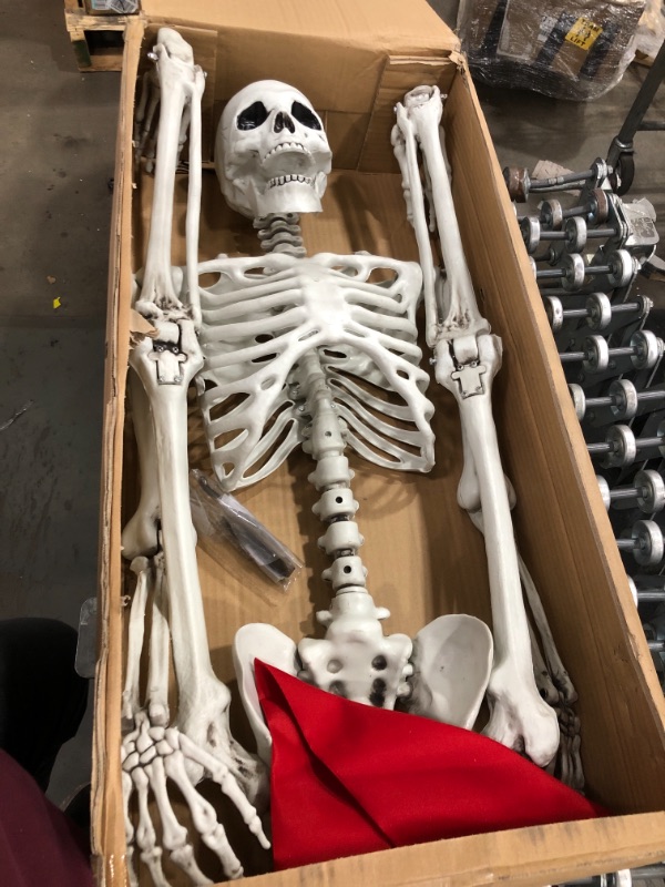 Photo 2 of 5 ft Pose-N-Stay Life Size Skeleton Full Body Realistic Human Bones with Posable Joints for Halloween Pose Skeleton Prop Decoration
